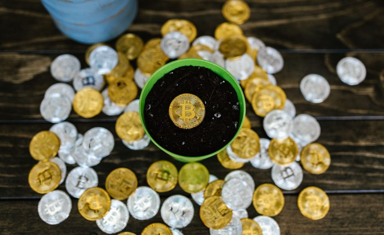 A creative still life of bitcoin coins in a pot, symbolizing growth and investment.