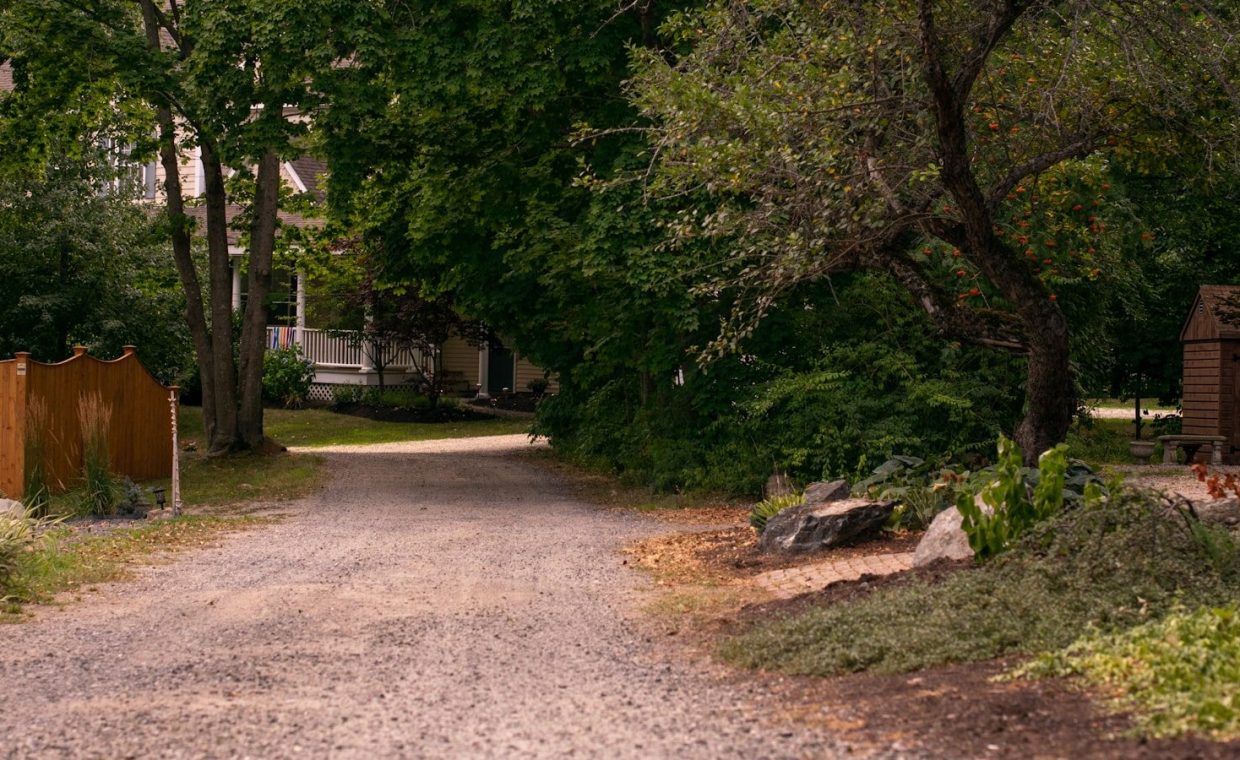 A gravel road leads to the woods.