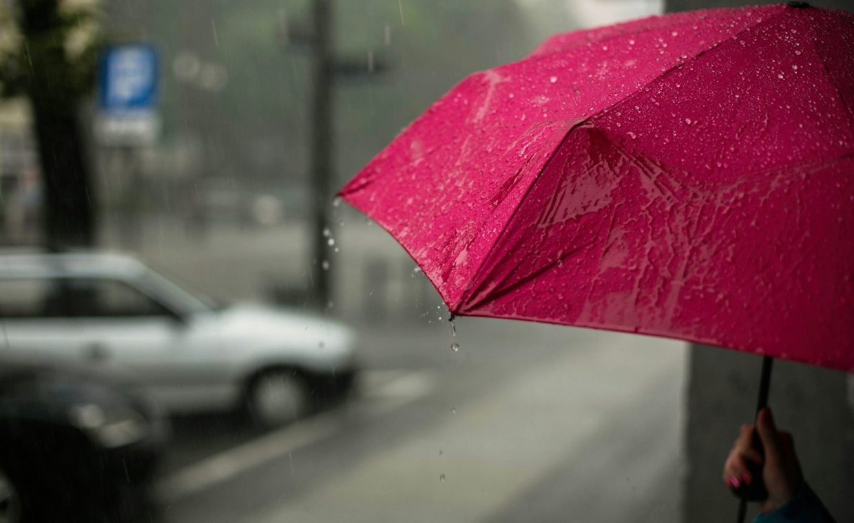 pink umbrella