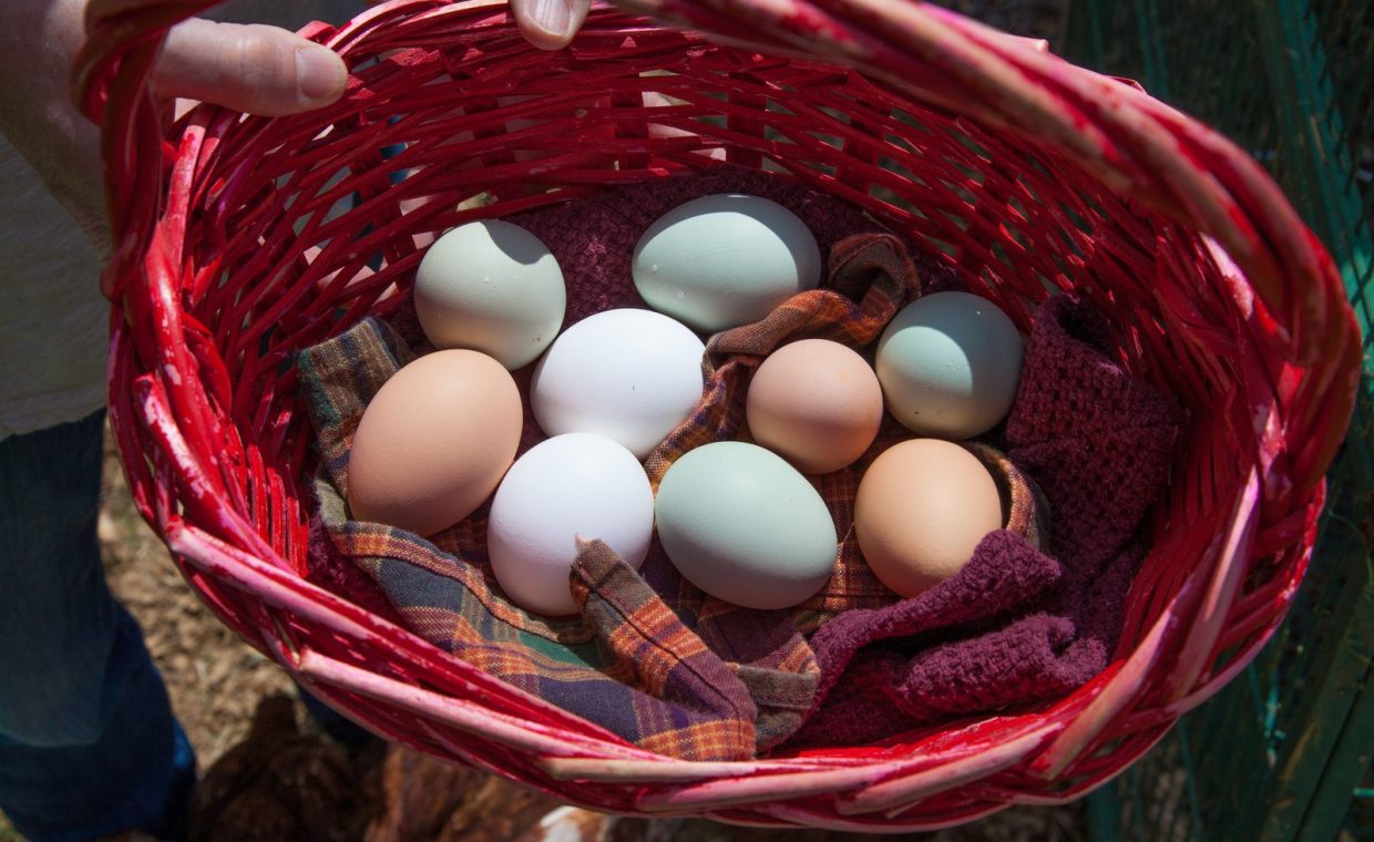A vibrant collection of fresh farm eggs in a woven basket, showcasing colorful shells.