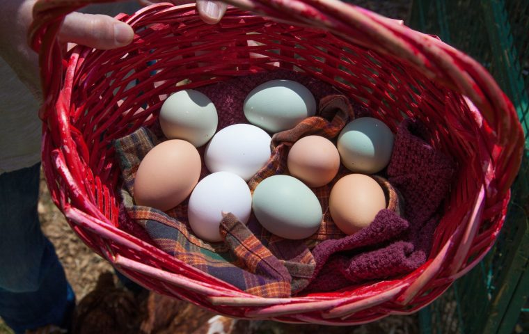 Simple Ways to Diversify Your Investments